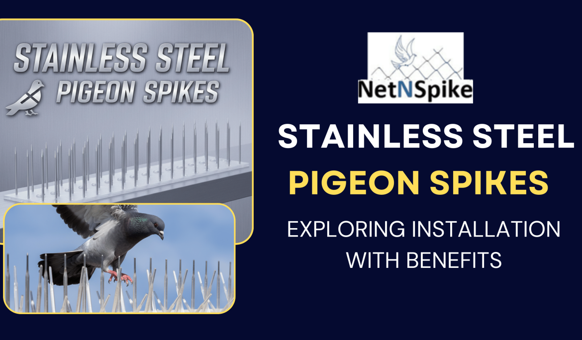 Stainless Steel Pigeon Spikes