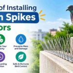 Pigeon Spikes