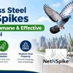Stainless Steel Bird Spikes