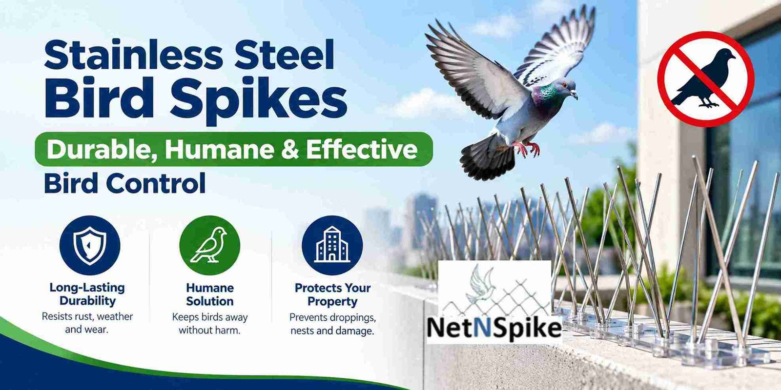 Stainless Steel Bird Spikes