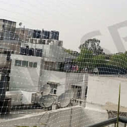 Farm House Bird Netting