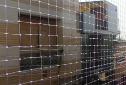Bird Netting3